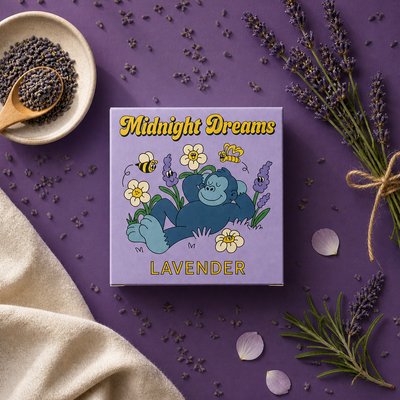 Midnight Dreams
